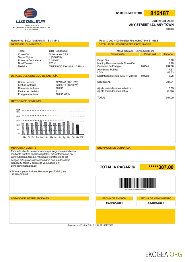 Peru Luz de Sur utility bill template in Word and PDF format, fully editable